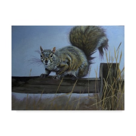 Rusty Frentner 'Squirrel' Canvas Art,24x32